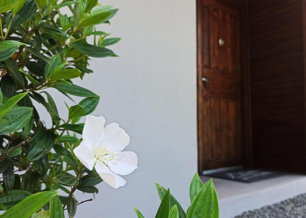 Chales Da Ninah Penha  Exteriér fotografie